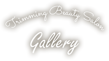 Trimming Beauty Salon Gallery